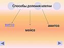 Митоз