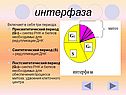 Биология митоз