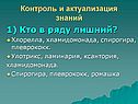 Кто в ряду лишний