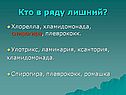 Хлорелла, хламидомонада, спирогира, плеврококк