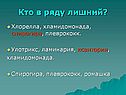 Улотрикс, ламинария, ксантория, хламидомонада