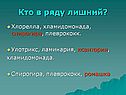 Спирогира, плеврококк, ромашка