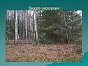 Видео-экскурсия