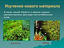 Изучение нового материала