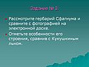Гербарий Сфагнума