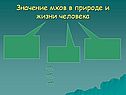 Значение мхов в природе и жизни человека
