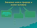 Закисание и заболачивание почв
