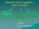 Торф