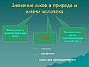 Заменитель ваты (бактерицидные свойства)