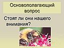 Основополагающий вопрос