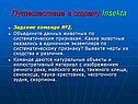 Путешествие в страну Insekta