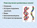 План изучения нуклеиновых кислот