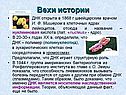 Вехи истории