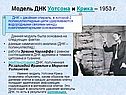 Модель ДНК Уотсона и Крика – 1953 г