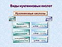 Виды нуклеиновых кислот