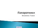 Папоротники