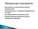 Вопросы для повторения