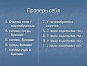 Проверь себя