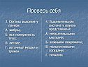 Проверь себя
