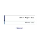 Пчела медоносная