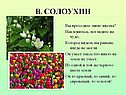 В. Солоухин