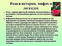 Роза в истории, мифах и легендах