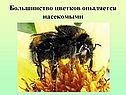 Большинство цветков опыляется насекомыми