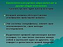 Уровни организации живой материи