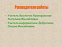 Руководители работы