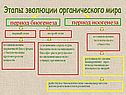 Этапы эволюции органического мира