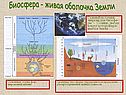 Биосфера - живая оболочка Земли