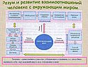 Разум и развитие взаимоотношений человека с окружающим миром