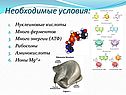 Необходимые условия