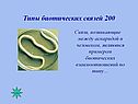 Типы биотических связей 200