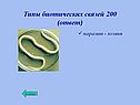 Типы биотических связей 200 (ответ)