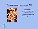 Типы биотических связей 500