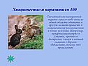 Хищничество и паразитизм 300