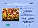 Хищничество и паразитизм 400 (ответ)