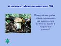 Взаимовыгодные отношения 100