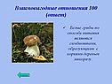 Взаимовыгодные отношения 100 (ответ)
