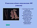 Взаимовыгодные отношения 400 (ответ)