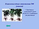 Взаимовыгодные отношения 500 (ответ)