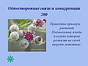 Односторонние связи и конкуренция 200