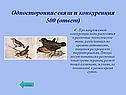 Односторонние связи и конкуренция 500 (ответ)