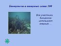 Биоценозы и пищевые сети 100