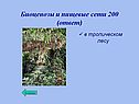 Биоценозы и пищевые сети 200 (ответ)
