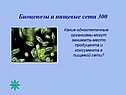 Биоценозы и пищевые сети 300