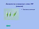 Биоценозы и пищевые сети 300 (ответ)