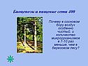 Биоценозы и пищевые сети 400