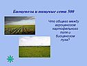 Биоценозы и пищевые сети 500